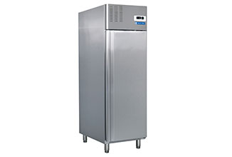 Blue Star Deep Freezer